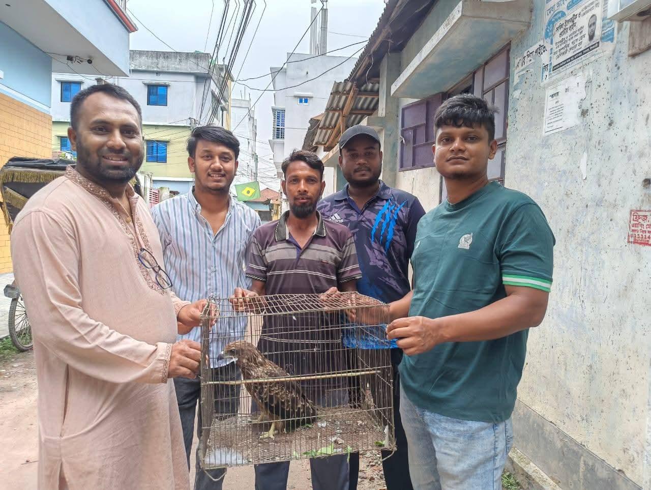 সৈয়দপুরে অসুস্থ চিল উদ্ধার, চিকিৎসার দায়িত্ব নিল স্বেচ্ছাসেবী সংগঠন